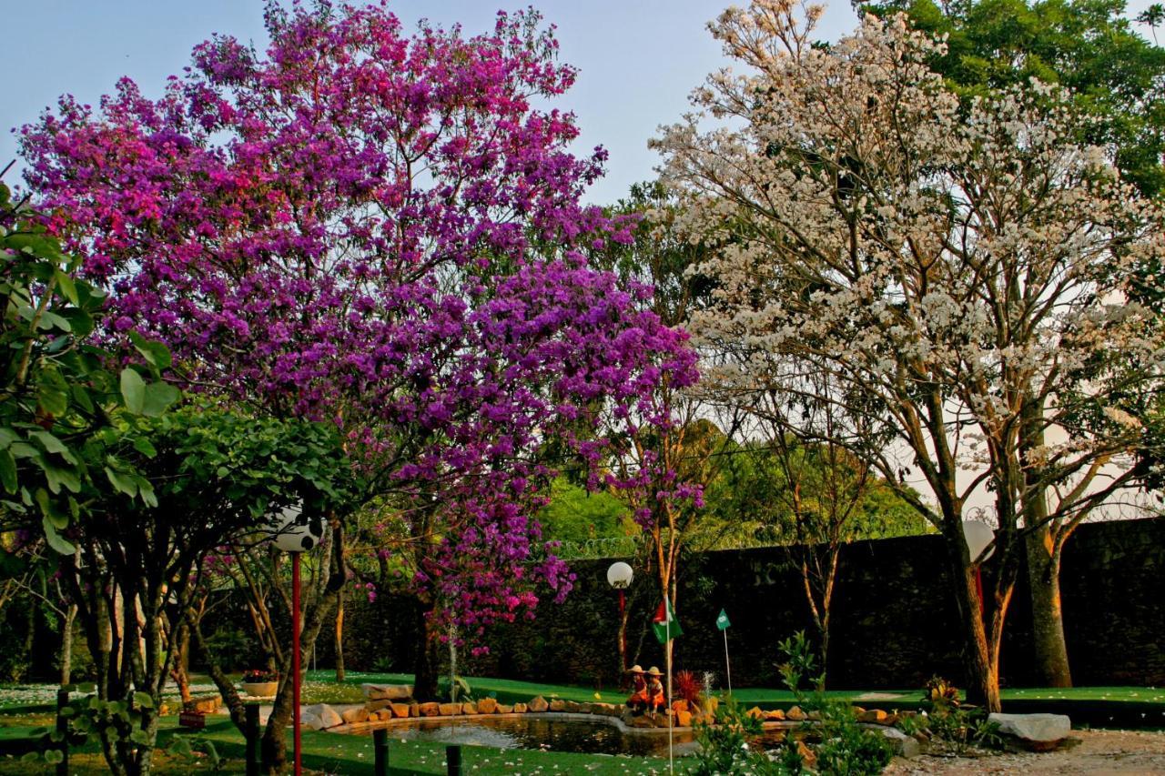 São João del Rei Villa Buonabitacolo מראה חיצוני תמונה