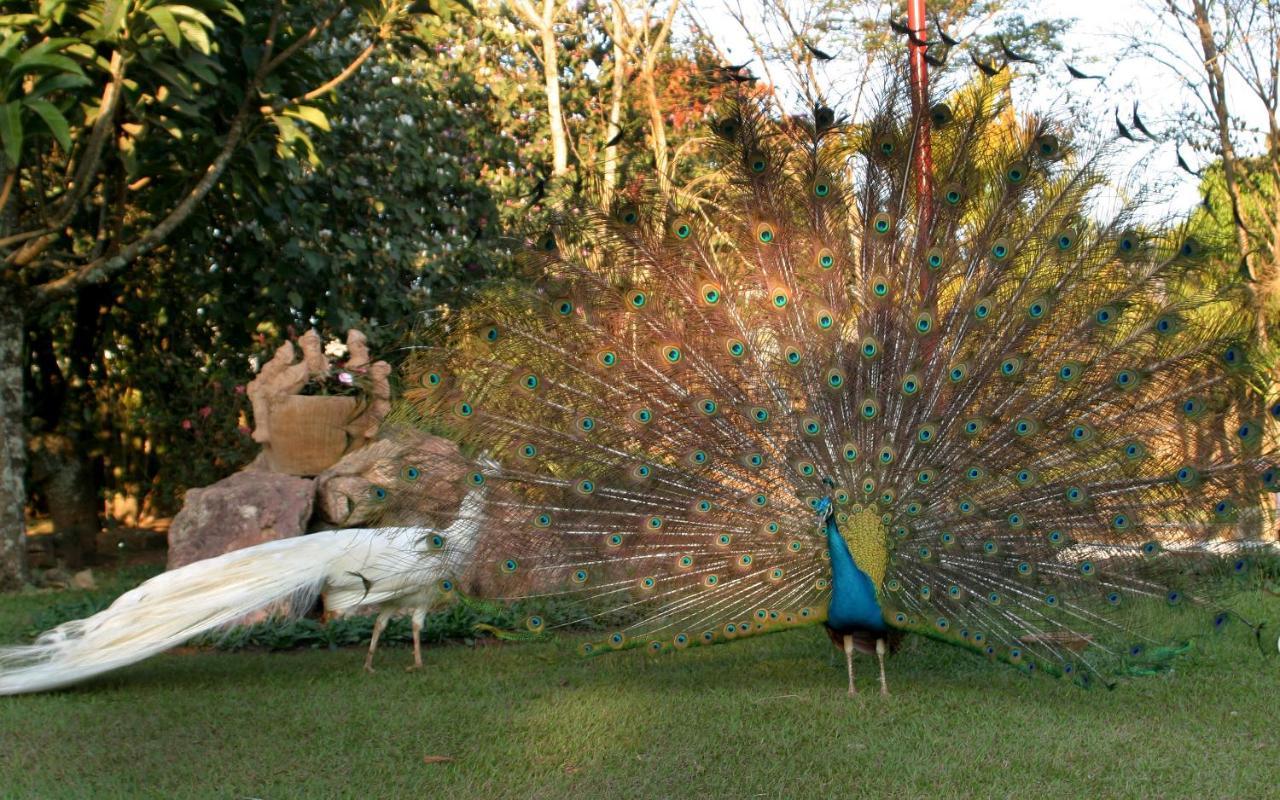 São João del Rei Villa Buonabitacolo מראה חיצוני תמונה